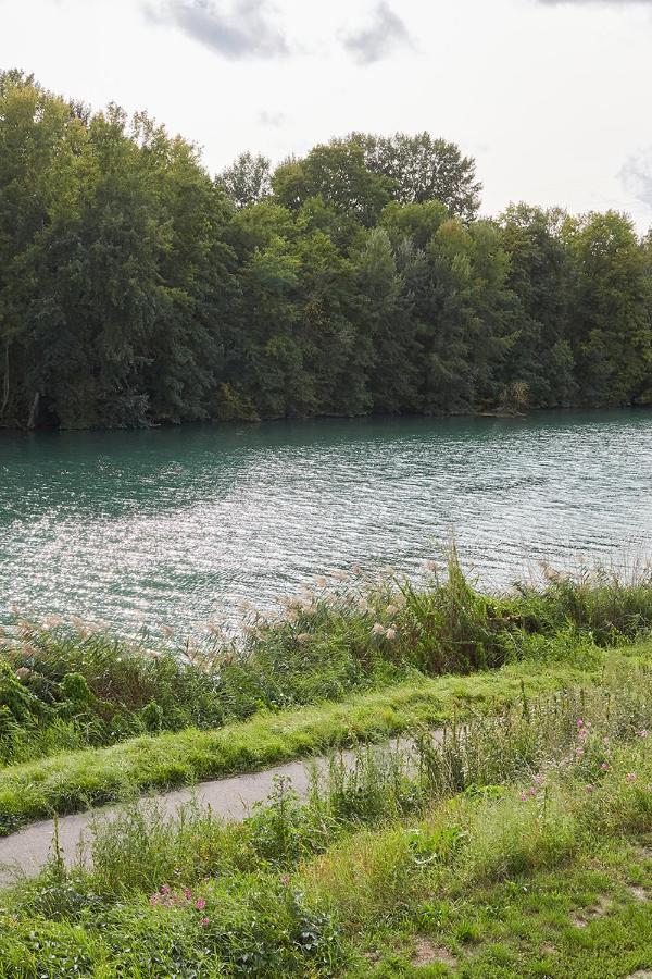 Paradis Champenois Damery (Marne) Exterior foto